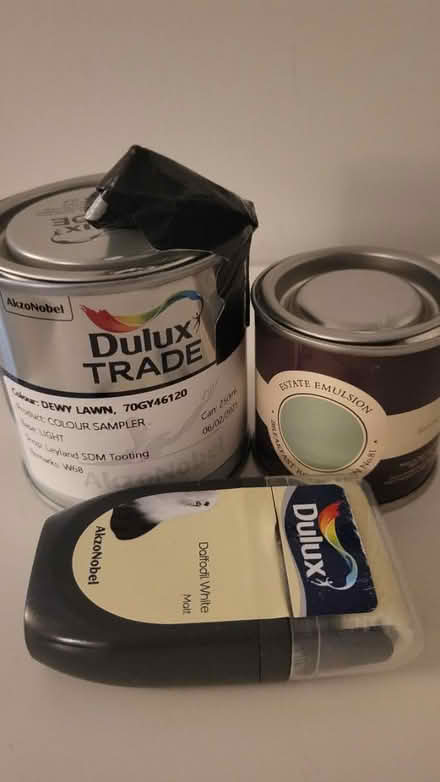 Photo of free Sample Paint Farrow and Ball Dulux (Streatham Common) #4