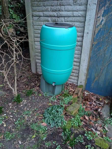 Photo of free Large Garden Waterbutt (Ware SG12) #3