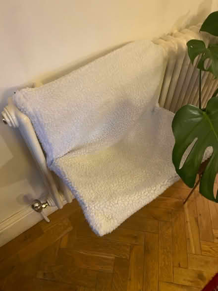 Photo of free Cat radiator bed (Prestwich M25) #1