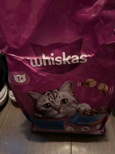 Photo of free Cat food (Boulton DE24) #1