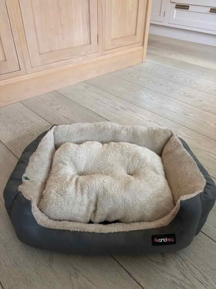 Photo of free Small Dog Bed (Blackrock, County Dublin) #1