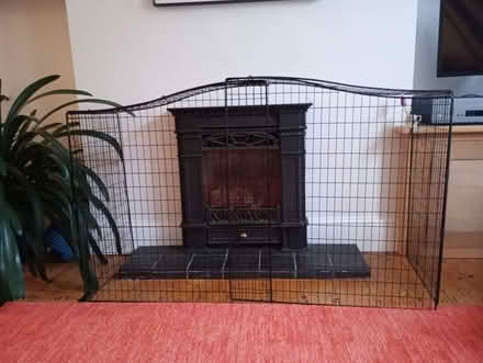 Photo of free Large fireguard (Round Hill BN2) #1