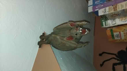 Photo of free Halloween bats (Dursley) #1