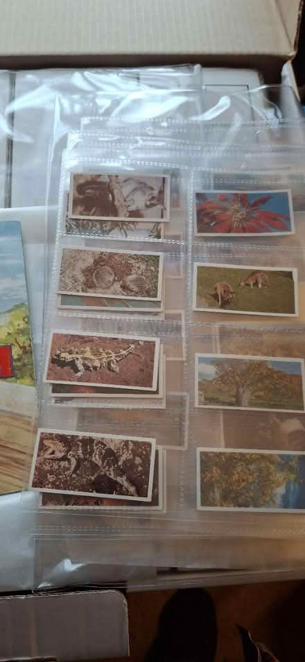 Photo of free Large Collection of cigarette cards (BR8) #3