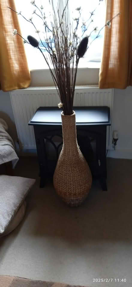 Photo of free Tall vase (Constantine Falmouth) #2