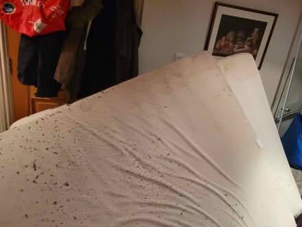 Photo of free memory foam mattress (Wrexham LL13) #1