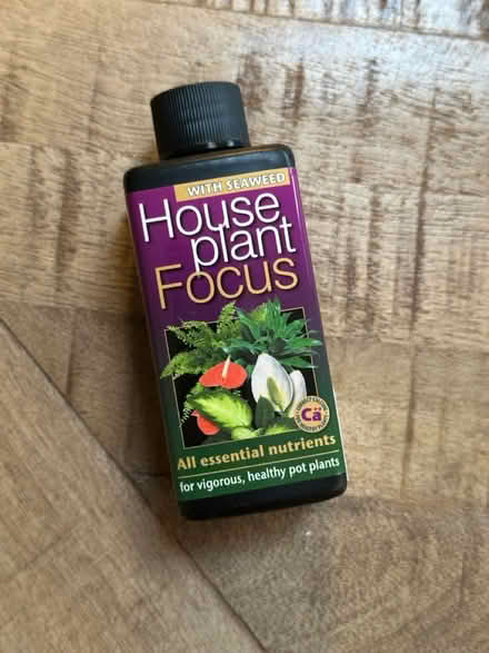 Photo of free Houseplant Focus plant feed (Handforth, SK9) #1