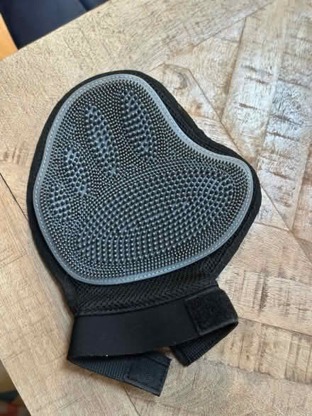 Photo of free Dog washing mitt (Handforth, SK9) #2