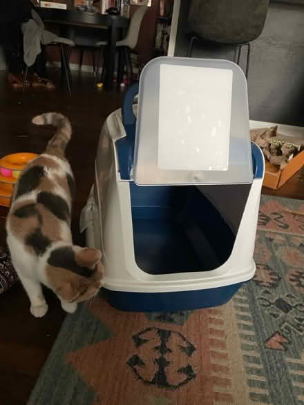 Photo of free Covered Cat Litter Box (plastic) (southwest atlanta) #2