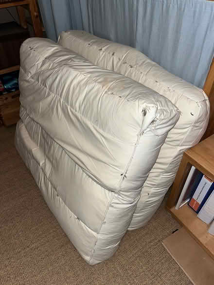 Photo of free Huge feather cushions (Rottingdean) #1