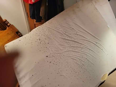 Photo of free memory foam mattress (Wrexham LL13) #4