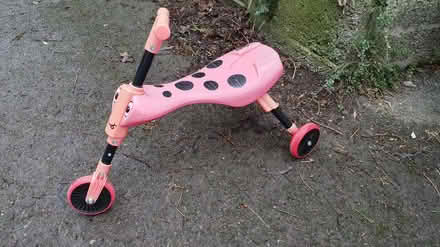 Photo of free Scuttle bug (Larkhall - Bath) #1