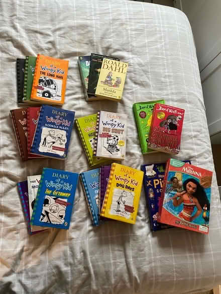 Photo of free Kids books diary of a wimpy kid (Midsomer norton) #1