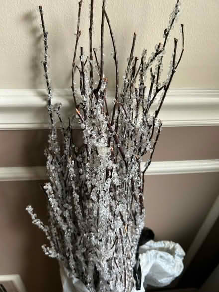 Photo of free Icicle branches (McLean near Spring Hill Road) #1