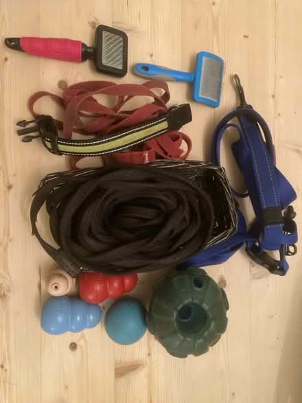 Photo of free Dog leads, toys and brushes (Nether Edge S7) #1