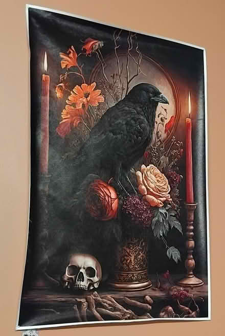 Photo of free Halloween/gothic/wiccan items (Dursley) #1