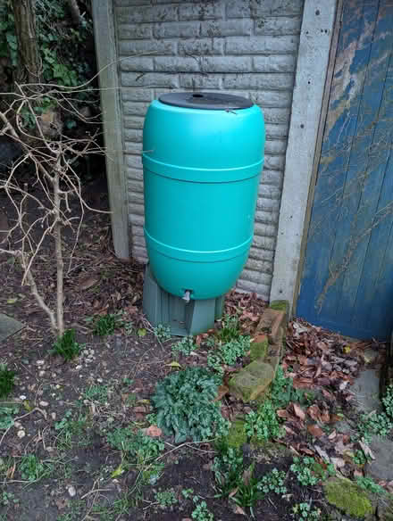 Photo of free Large Garden Waterbutt (Ware SG12) #2