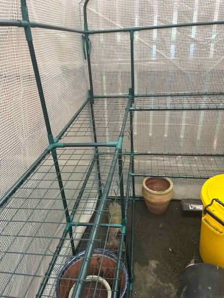 Photo of free Poly Greenhouse (collector to dismantle) (Firgrove OL16) #3