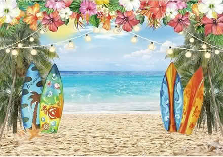 Photo of Hawaii/beach Backdrop (East Somerville) #1