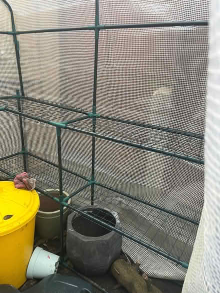 Photo of free Poly Greenhouse (collector to dismantle) (Firgrove OL16) #2