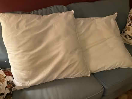 Photo of free Pair 24" square pillows (Riverdale (north of Inwood)) #1