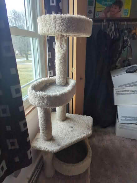 Photo of free Cat tower (Shrewsbury) #2