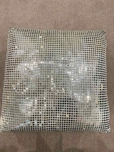 Photo of free Silver spotty cushion (Norton Lees S8) #1