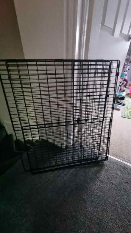 Photo of free Fire Guard (Crystal Peaks S20) #1