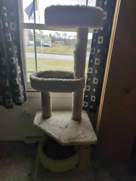 Photo of free Cat tower (Shrewsbury) #1