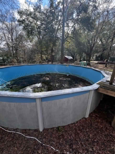 Photo of free Above ground swimming pool (Crump rd) #3