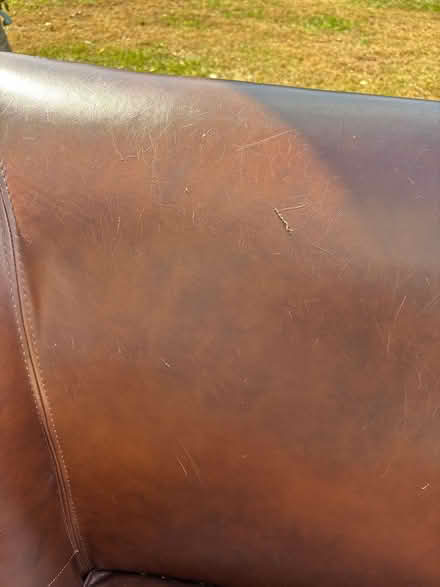 Photo of free Wing back leather chair (Maitland) #3