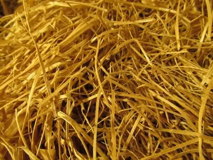 Photo of free Wood wool (Kelsall CW6) #2