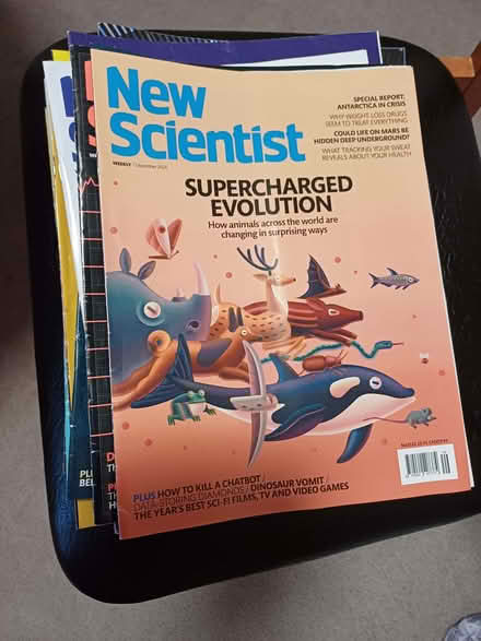 Photo of free New Scientist Magazines (Eccleshill BD2) #1