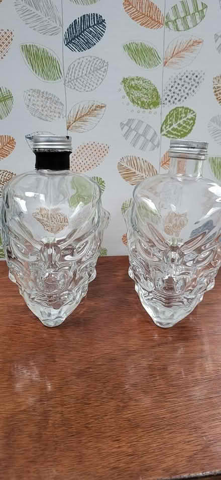 Photo of free Devil skull glass bottles (Warlingham CR6) #2