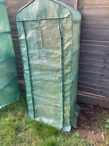 Photo of free Growhouse 4-Tier Garden Greenhouse (Ashford TW15) #2