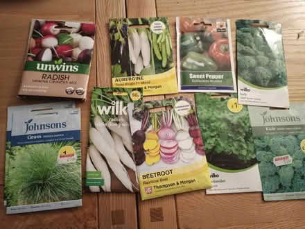 Photo of free Seeds (CH49) #1
