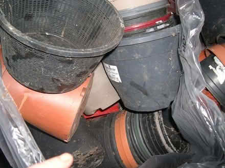 Photo of free Plant Pots, Seed Trays, Seed Modules (Hereford HR1) #1