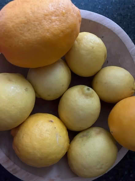 Photo of free a dozen ripe limes and lemons (Lawrence/ El Camino Real) #1