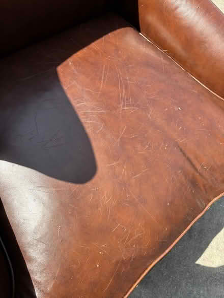 Photo of free Wing back leather chair (Maitland) #4