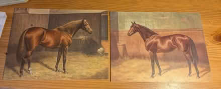 Photo of free Horse cards without envelopes (Llandrindod LD1) #1