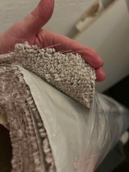 Photo of free Bit roll of carpet ( new (Bannockburn FK7) #3