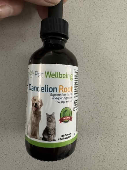 Photo of free for dogs/cats (Bloor/Brunswick area) #4