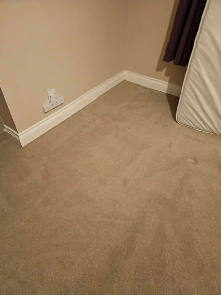 Photo of free Carpet (Waldridge Park DH2) #1