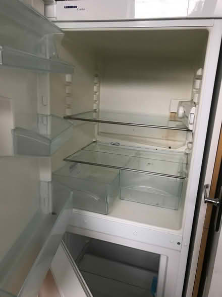 Photo of free Fridge freezer (Gedling NG4) #2