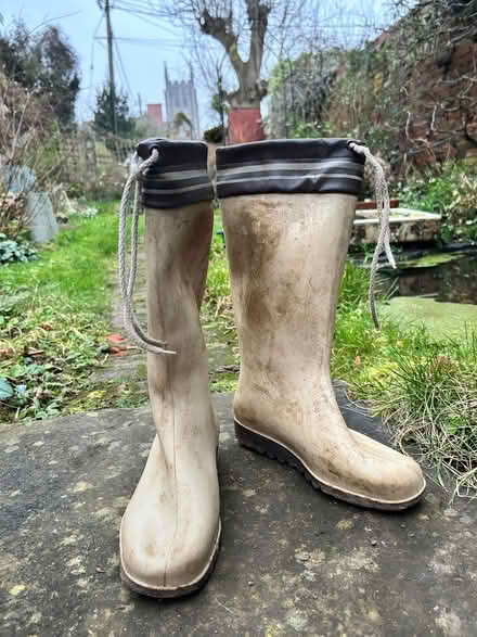 Photo of free Ladies size 5 beige wellies (Long Melford CO10) #1