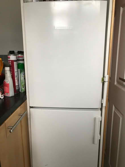 Photo of free Fridge freezer (Gedling NG4) #1