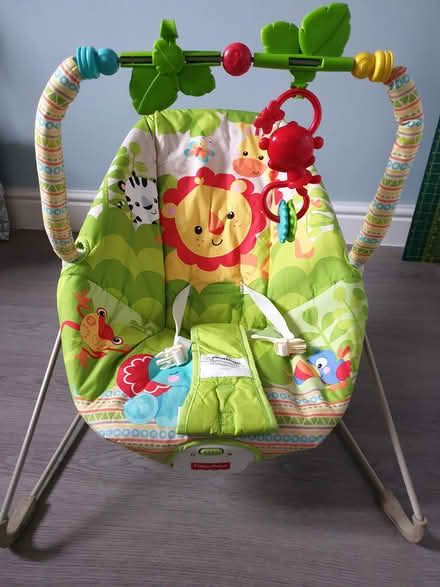 Photo of free Fisher Price baby bouncer (TN38) #1