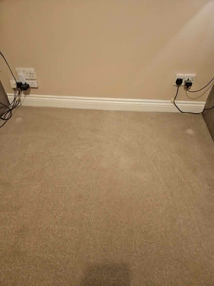 Photo of free Carpet (Waldridge Park DH2) #4