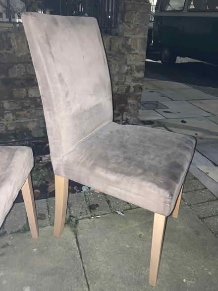Photo of free Dining chairs (Battersea SW11) #2