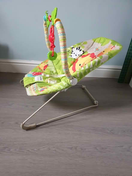 Photo of free Fisher Price baby bouncer (TN38) #4